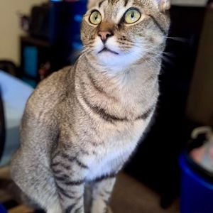 Meet your Posher, Christopher